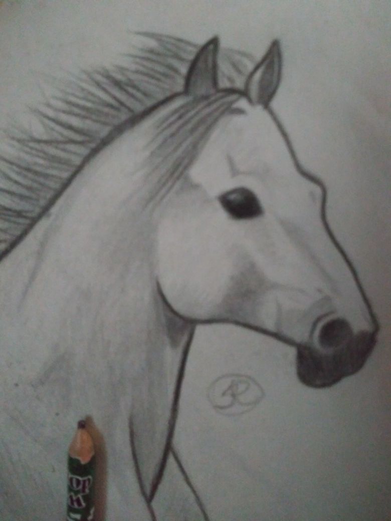 Farm horse art