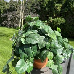 Artificial Plant
