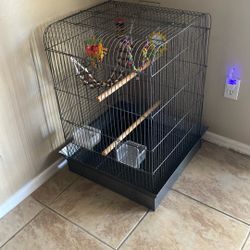 Bird cage