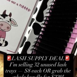 Lash extension trays 