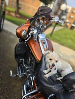 2008 Harley Davidson 105th Anniversary SE CVO FLHTCUSE3