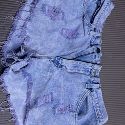 Purple/pink Washed Shorts