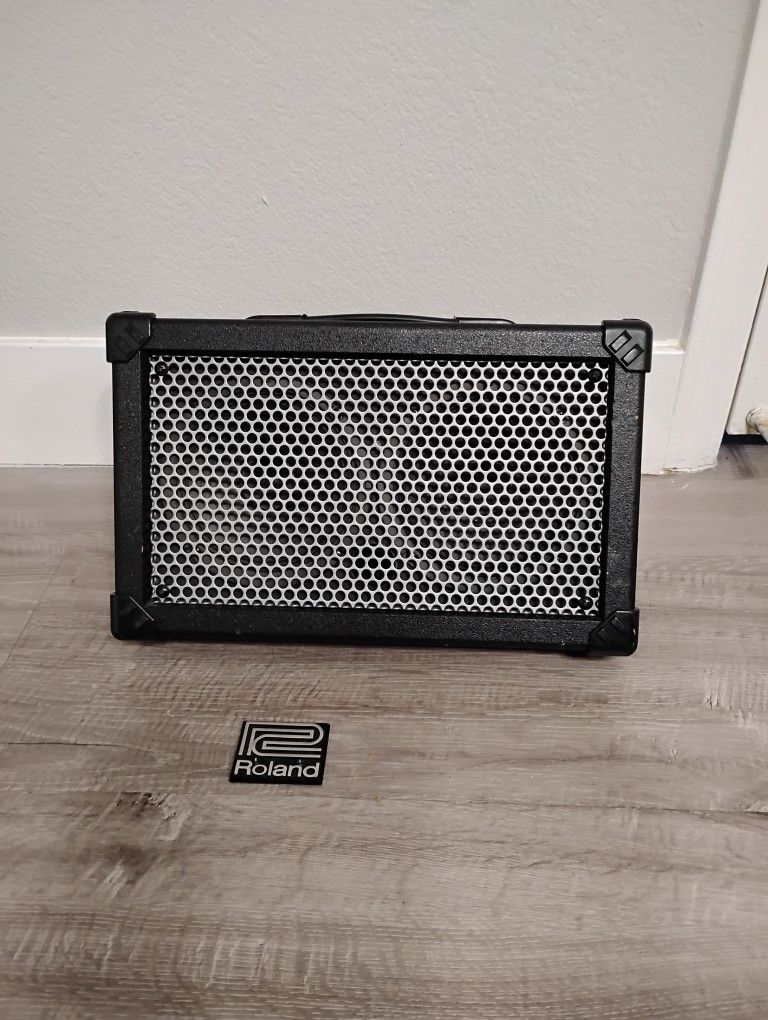 Roland Street Cube Amplifier