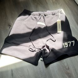 essentials shorts 1977 Brown XS