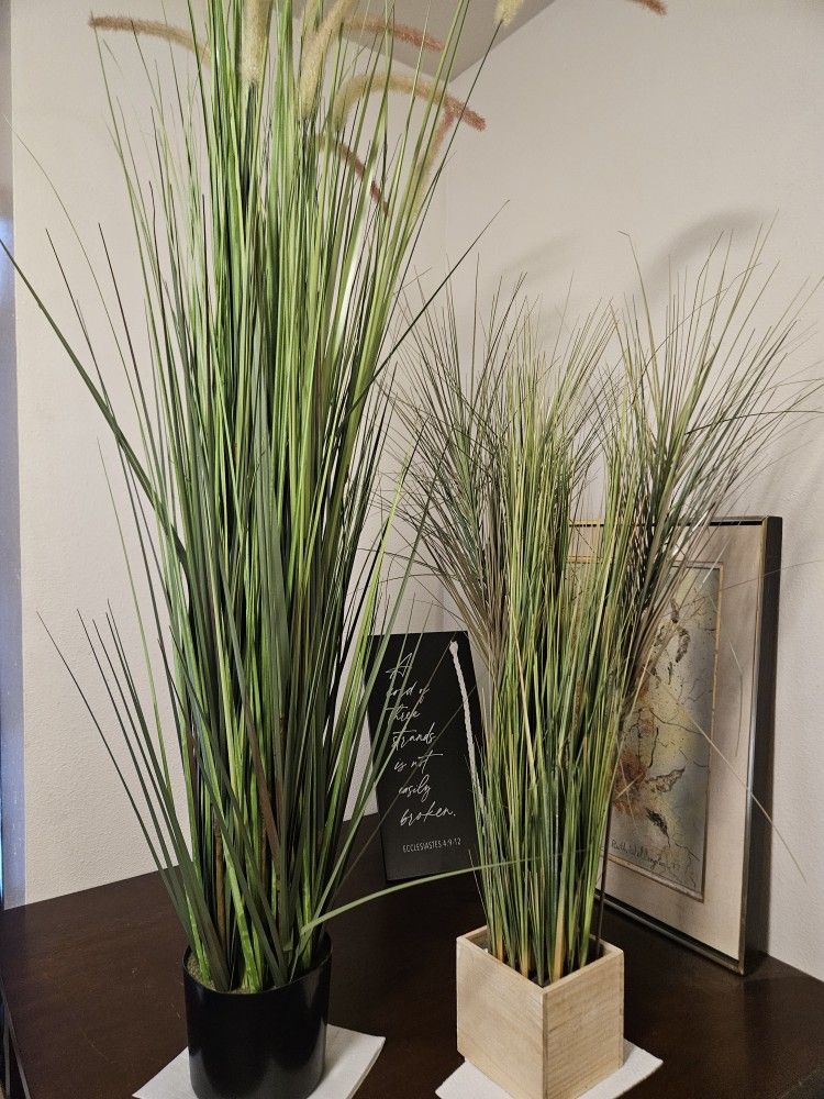 Faux House Plants! Great Deal! (See Pics)