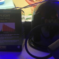 Light Bulb And Light Lamp