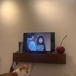 Vizio Tv