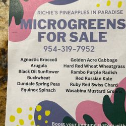 Microgreens 
