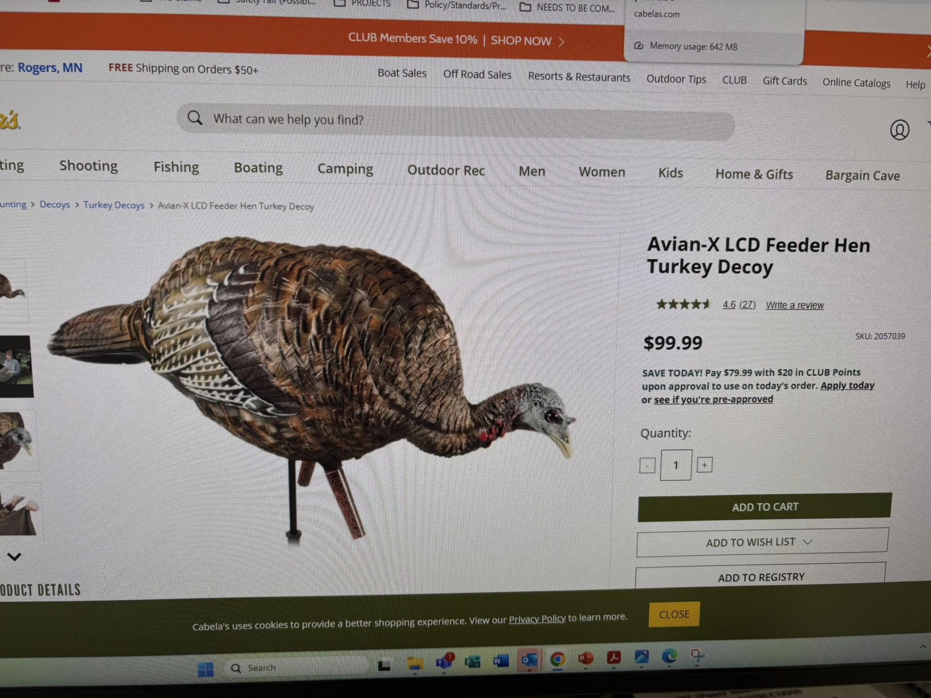 Turkey Decoys 