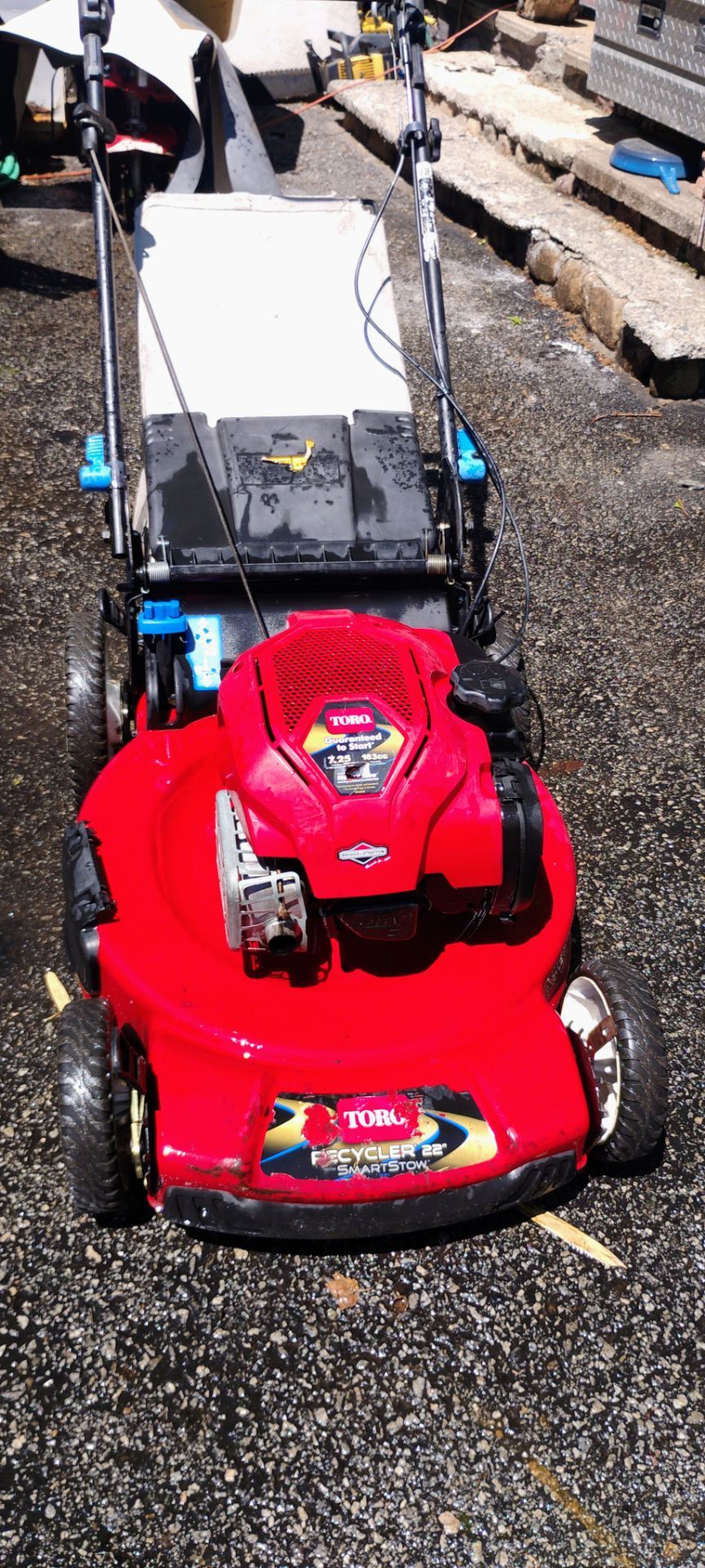 Toro