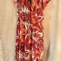Express Dress S