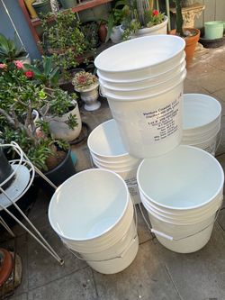 5 Buckets very clean with lids $25 for all 5