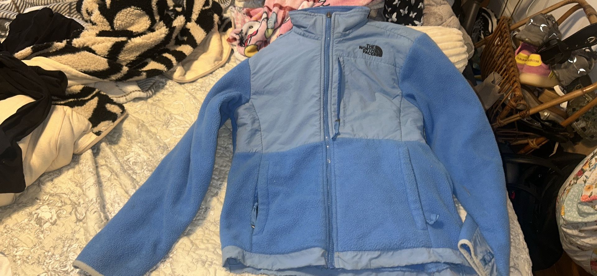 North Face Winter Jacket