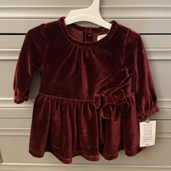 NWT 3 Month Carter’s Dress