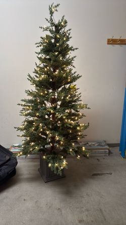 Sharing Christmas tree