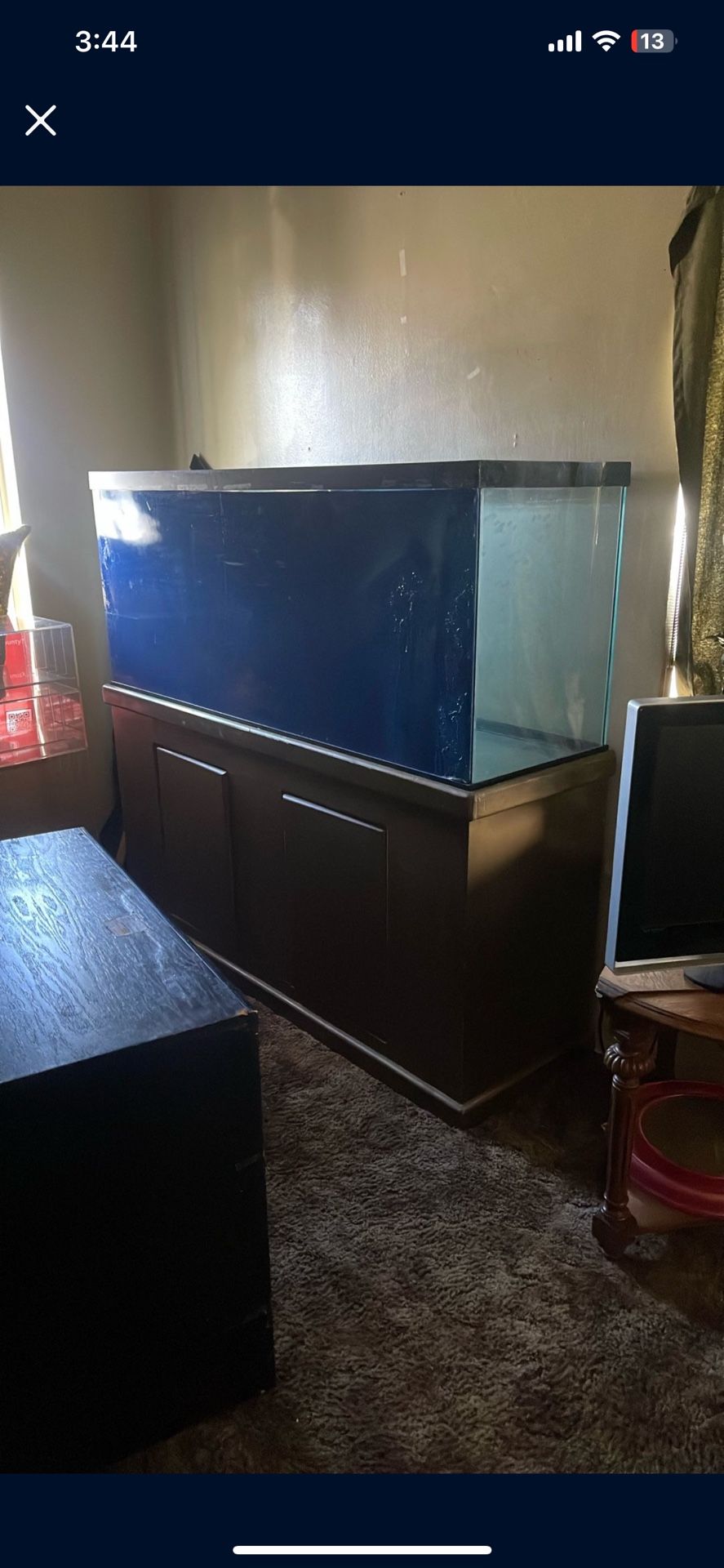 Fish Tank
