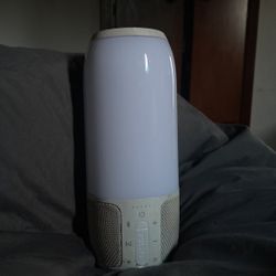 JBL Pulse 3