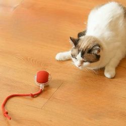 Smart Cat Ball: Fast Rolling Toy with Tail Accessory