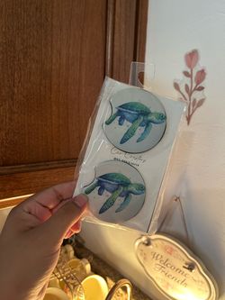 Turtle Car Coaster