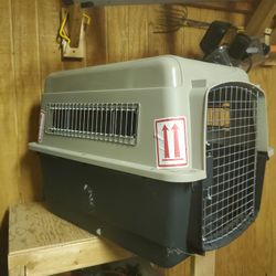 Large Pet kennel for plane travel