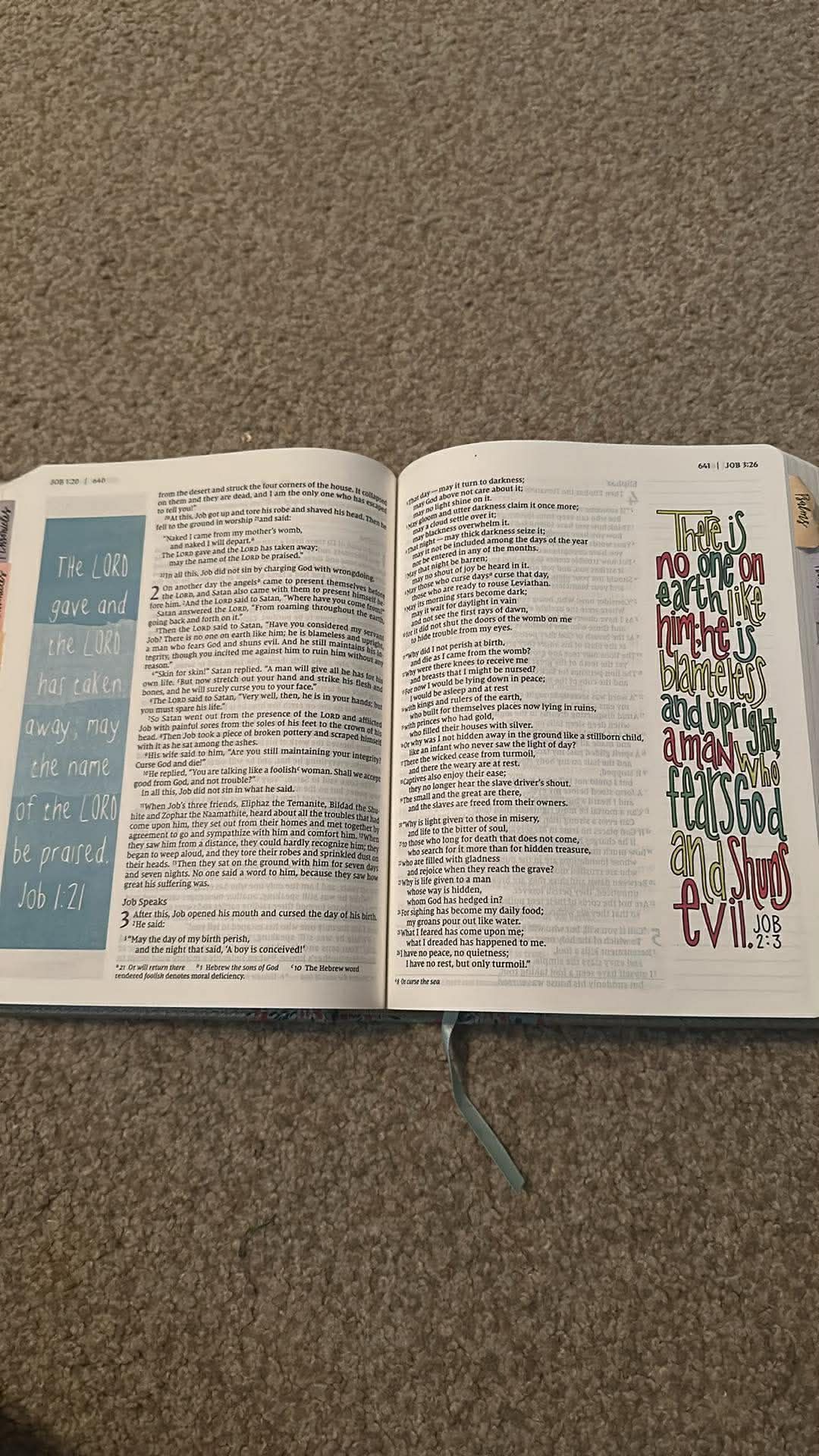 Beautiful Word Bible (NIV)