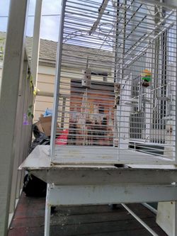 Bird Cage