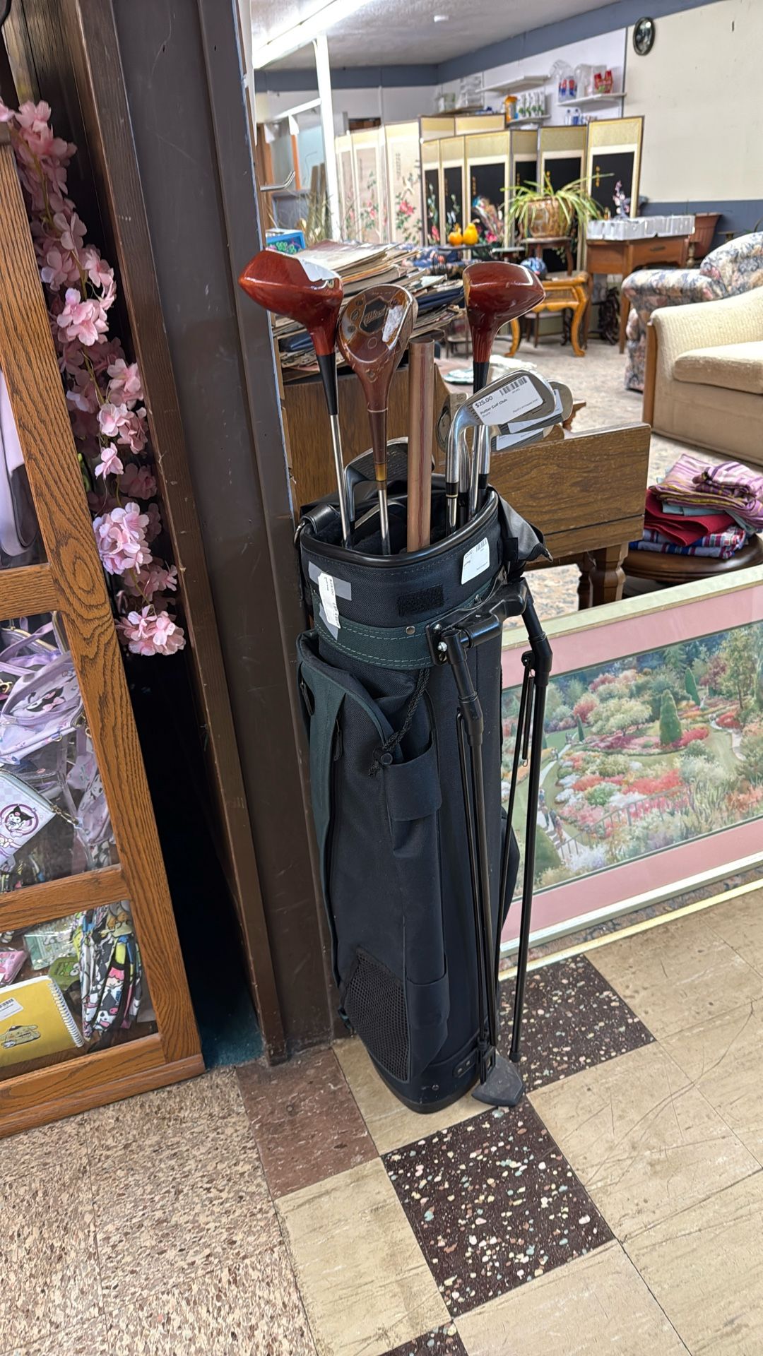 Golf Clubs And Bag