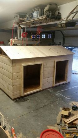 Dog house