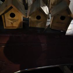 Bird House 