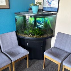 Fish Tank 