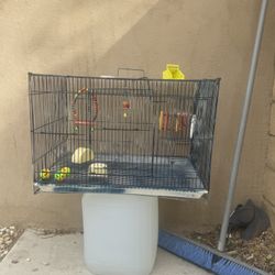  Bird Cage