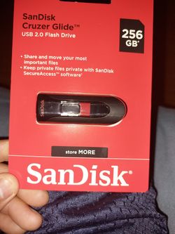 SanDisk 256 GB