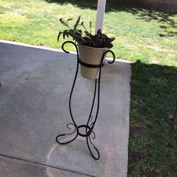 Plantero  Y Planta $20  Firme Precio 