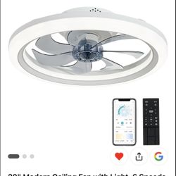 Ceiling Fan With Light