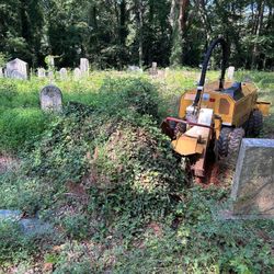 Stump Grinding 