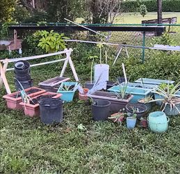 Gardening things, pots. Planters, plants.
