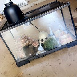Reptile tank / Pet Tank & Lamp 