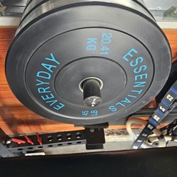 Everyday Essentials Weight Plates 
