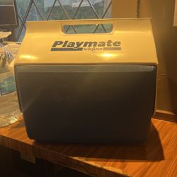 Playmate By Igloo
