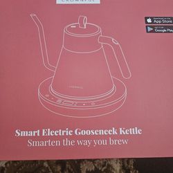 Smart Electric Kettle (Black) 