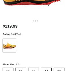 Saucony Endorphin 3  distance spikes