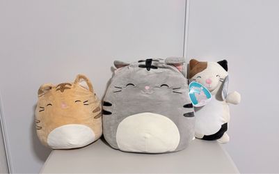 Cat Squishmallow Collection (14" Cam HugMees, 16" Tally, 12" Nathan) - Like New!