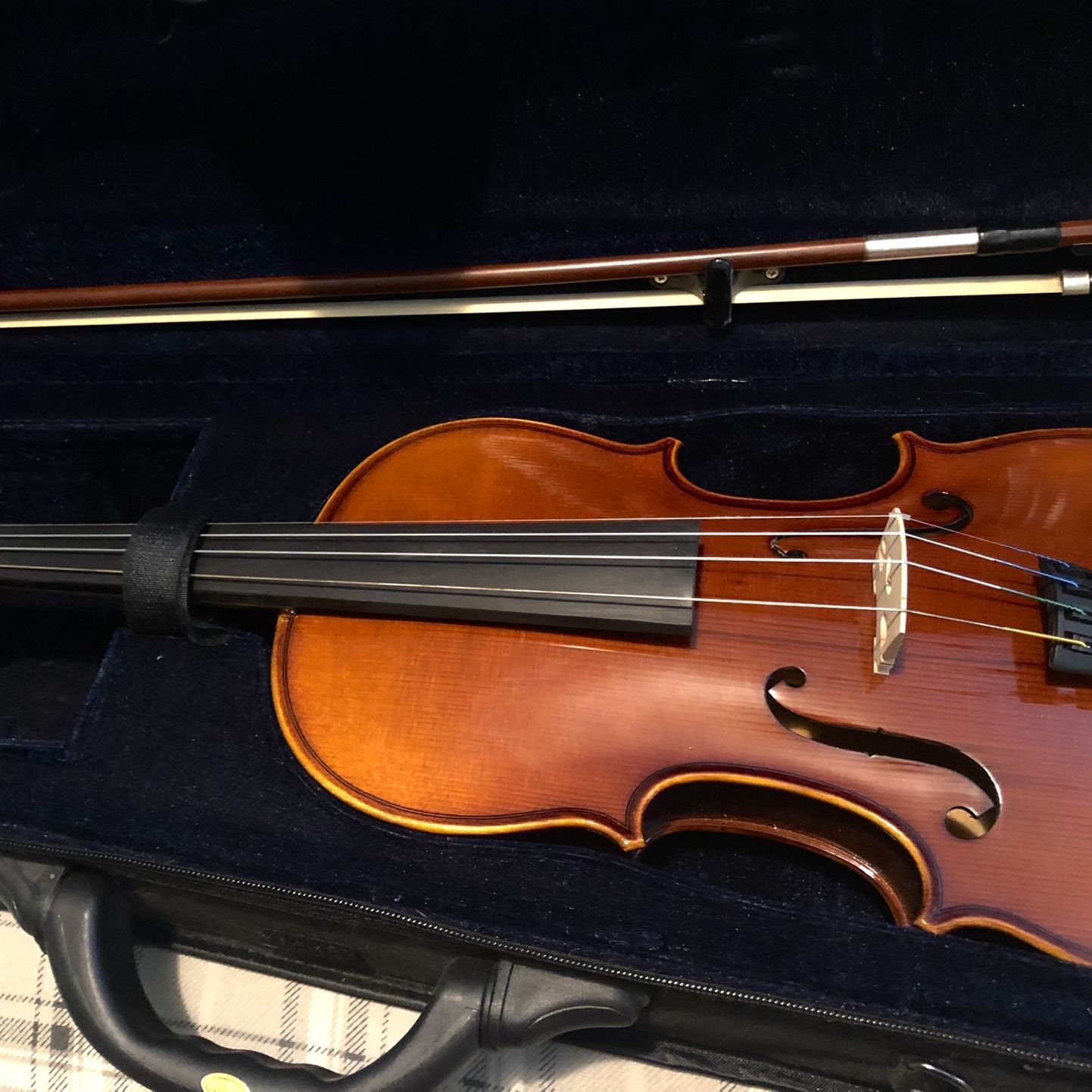 Gorgeous Violin