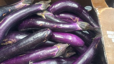 Free Produce Giveaway