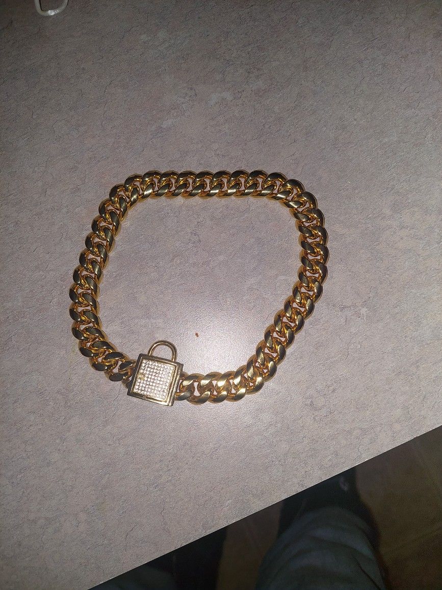 Cuban Link Dog Chain