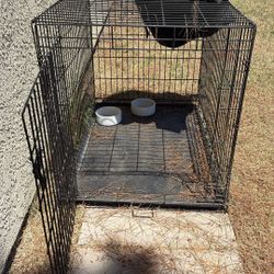 Dog Cage 