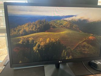 LG 24” Monitor