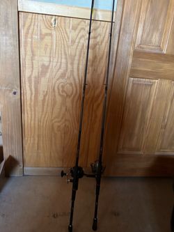 Ugly stick rods and Garcia mitchell reel