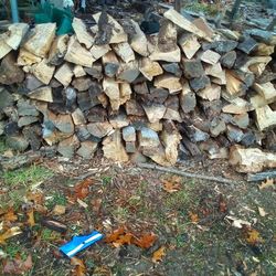 Dry Seasoned Red And White Oak Firewood For Sale 