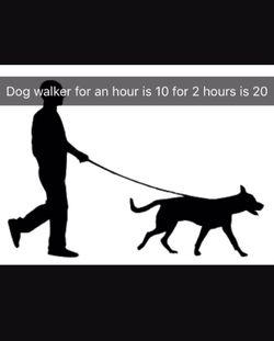Dog walking